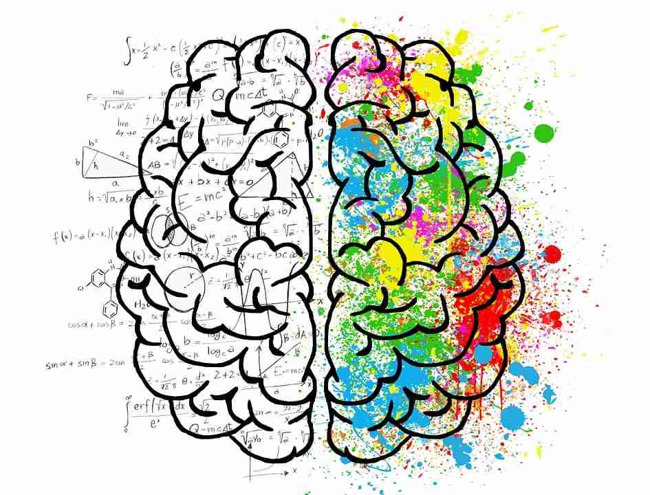 Head types for the enneagram